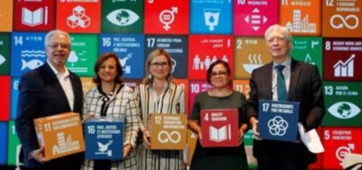 national sdg advisory bodies